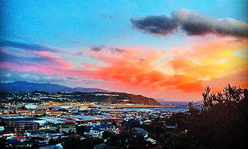 vivere e lavorare a Wellington in Nuova Zelanda Ornitorinko